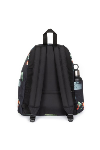 DAY PAKR STAR WARS 2